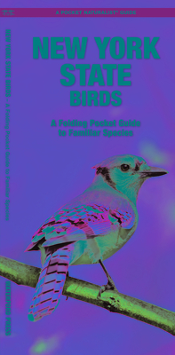 New York State Birds: A Folding Pocket Guide to Familiar Species (Wildlife and Nature Identification)
