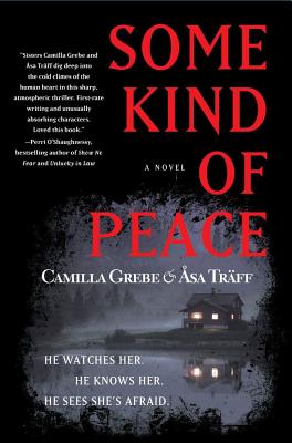 Cover Image for Some Kind of Peace: A Novel