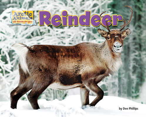 Reindeer (Arctic Animals: Life Outside the Igloo) By Dee Phillips Cover Image