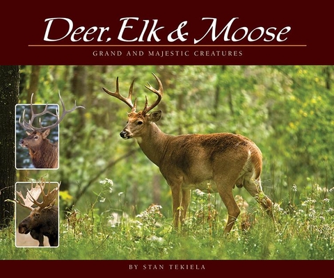 Deer, Elk & Moose: Grand and Majestic Creatures (Wildlife Appreciation)