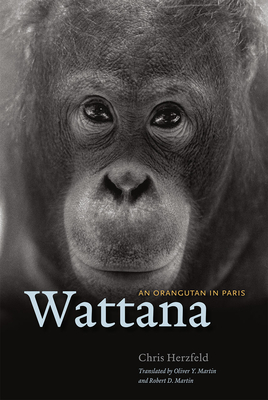Wattana: An Orangutan in Paris By Chris Herzfeld, Oliver Y. Martin (Translated by), Robert D. Martin (Translated by) Cover Image