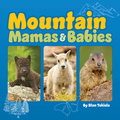 Mountain Mamas & Babies Cover Image