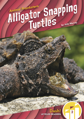 Alligator Snapping Turtles By Julie Murray Cover Image