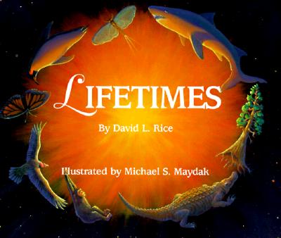Lifetimes By David L. Rice Cover Image