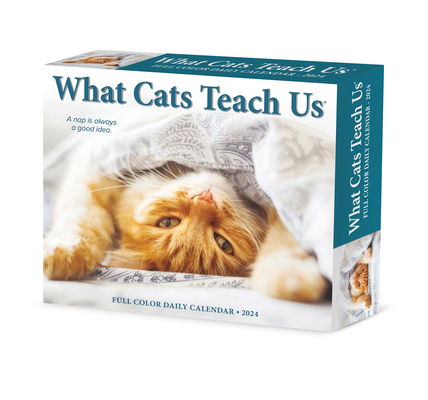 What Cats Teach Us 2024 6.2 X 5.4 Box Calendar Cover Image