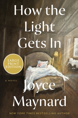 How the Light Gets In: A Novel Cover Image
