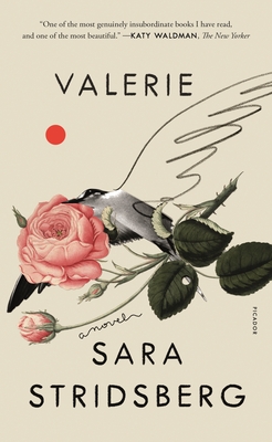 Valerie: or, The Faculty of Dreams: A Novel By Sara Stridsberg, Deborah Bragan-Turner (Translated by) Cover Image