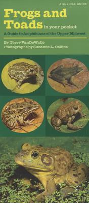 Frogs and Toads in Your Pocket: A Guide to Amphibians of the Upper Midwest (Bur Oak Guide) Cover Image