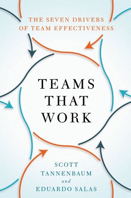 Teams That Work: The Seven Drivers of Team Effectiveness Cover Image