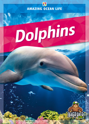Dolphins By Colleen Sexton Cover Image