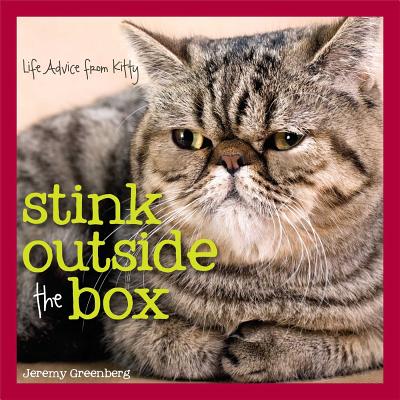 Cover for Stink Outside the Box