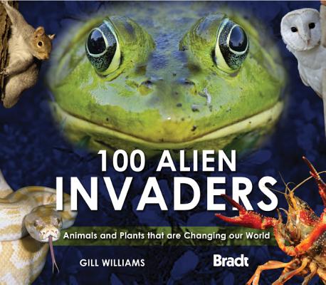 100 Alien Invaders By Gill Williams Cover Image