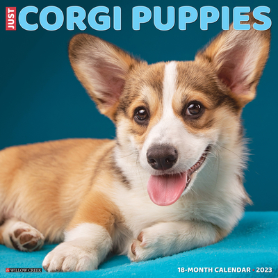 Just Corgi Puppies 2023 Wall Calendar