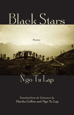 Black Stars Cover Image