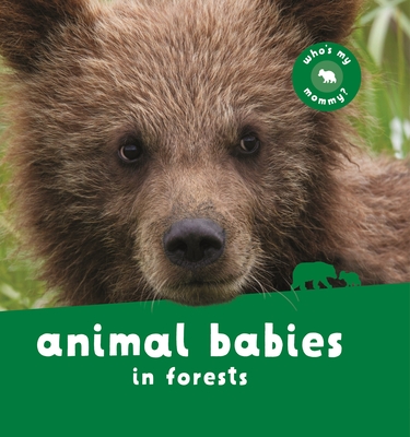 Animal Babies in Forests By Editors of Kingfisher Cover Image