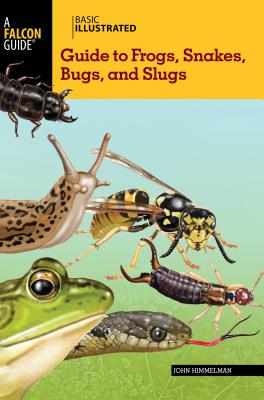 Basic Illustrated Guide to Frogs, Snakes, Bugs, and Slugs (Falcon Guides: Basic Illustrated)