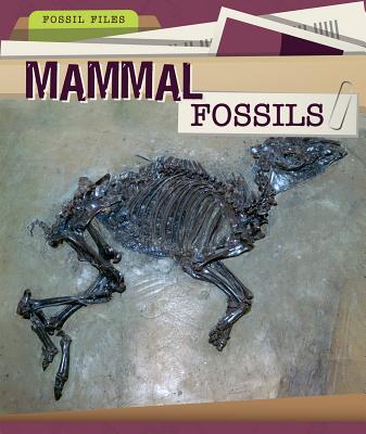 Mammal Fossils (Fossil Files) By Danielle Haynes Cover Image