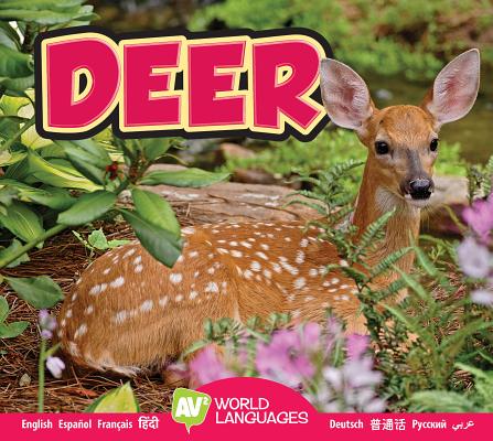Deer (World Languages) By Jordan McGill Cover Image
