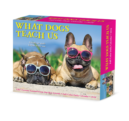 What Dogs Teach Us 2024 6.2 X 5.4 Box Calendar Cover Image