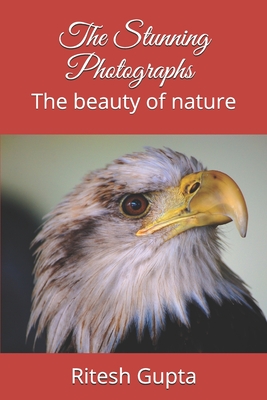 The Stunning Photographs: The beauty of nature