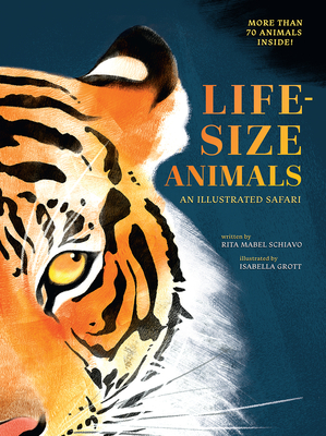 Life-Size Animals: An Illustrated Safari By Rita Mabel Schiavo, Isabella Grott (Illustrator) Cover Image