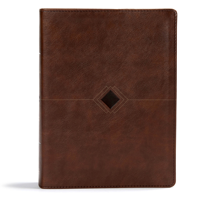 Cover for CSB Day-by-Day Chronological Bible, Brown Leathertouch (Day by Day)