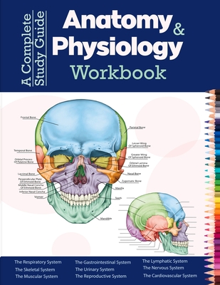 A Complete Study Guide Anatomy And Physiology Workbook: Incredibly Detailed Self-Test Color workbook for Studying and Relaxation Perfect Gift for Medi By Josh Zach Randall Cover Image