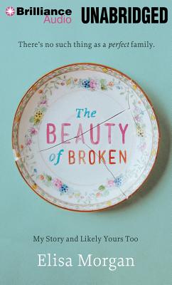 Cover for The Beauty of Broken