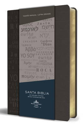 Biblia RVR 1960 letra grande tamaño manual, simil piel gris con nombres de Dios / Spanish Bible RVR 1960 Handy Size Large Print Leathersoft Grey, Names of god By Reina Valera Revisada 1960 Cover Image