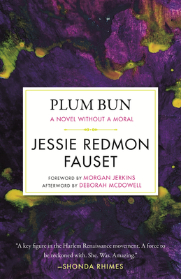 Plum Bun: A Novel without a Moral (Celebrating Black Women Writers #7) By Jessie Redmon Fauset, Morgan Jerkins (Foreword by), Deborah McDowell (Afterword by) Cover Image