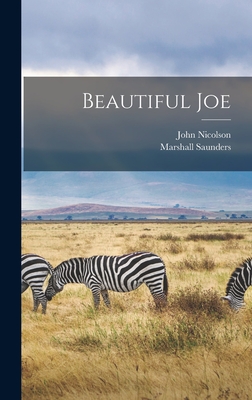 Beautiful Joe Cover Image