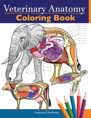 Veterinary Anatomy Coloring Book: Animals Physiology Self-Quiz Color Workbook for Studying and Relaxation Perfect gift For Vet Students and even Adult By Anatomy Academy Cover Image