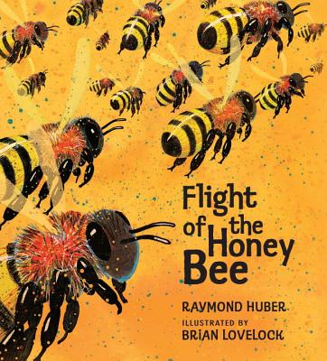 Flight of the Honey Bee By Raymond Huber, Brian Lovelock (Illustrator) Cover Image