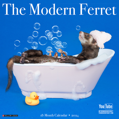Modern Ferret 2024 12 X 12 Wall Calendar Cover Image