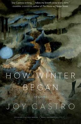 How Winter Began: Stories (Flyover Fiction)