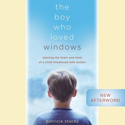 Cover for The Boy Who Loved Windows