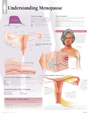 Understanding Menopause Chart: Wall Chart Cover Image