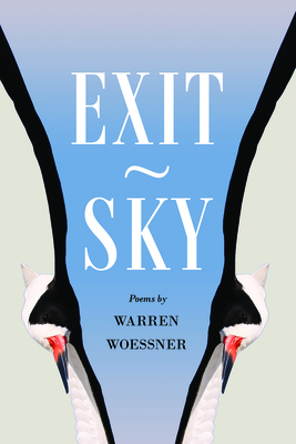 Cover for Exit-Sky