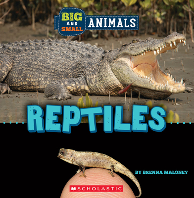 Reptiles (Wild World: Big and Small Animals) By Brenna Maloney Cover Image