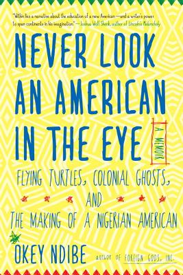Cover for Never Look an American in the Eye