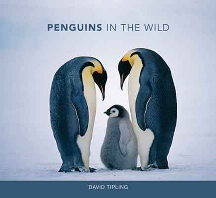 Penguins in the Wild By David Tipling Cover Image