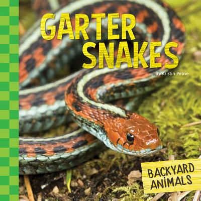 Garter Snakes (Backyard Animals) Cover Image