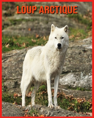 Loup Arctique: Livre pour Enfants Images & Informations Etonnantes  Concernant les Loup Arctique (Paperback)
