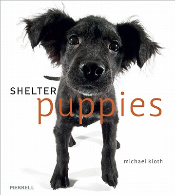 Shelter Puppies By Michael Kloth (Photographer) Cover Image