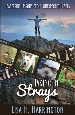 Taking In Strays: Leadership Lessons From Unexpected Places By Lisa H. Harrington Cover Image