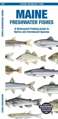 Maine Freshwater Fishes: A Waterproof Folding Guide to Native and Introduced Species (Pocket Naturalist Guide)