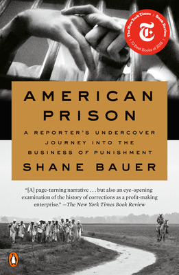 American Prison: A Reporter's Undercover Journey into the Business of Punishment