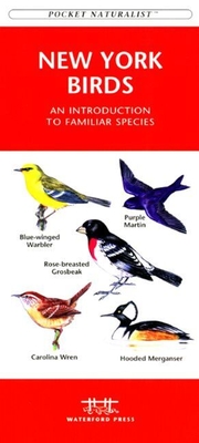 Northeastern Seashore Life: A Folding Pocket Guide to Familiar Species Found North of Massachusetts (Pocket Naturalist Guide) By James Kavanagh, Waterford Press, Raymond Leung (Illustrator) Cover Image