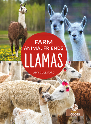 Llamas By Amy Culliford Cover Image