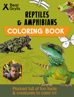 Reptiles & Amphibians By Bear Grylls Cover Image